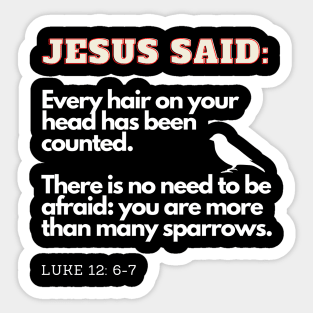 Jesus Said: More Than Many Sparrows Inspirational Lifequote Christian Motivation Sticker